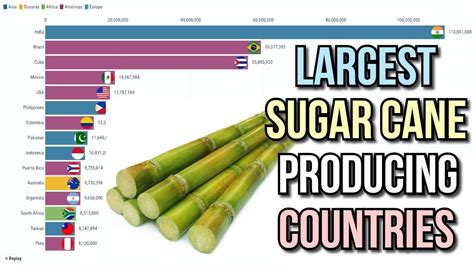 Largest Sugar Cane Producing Countries Youtube