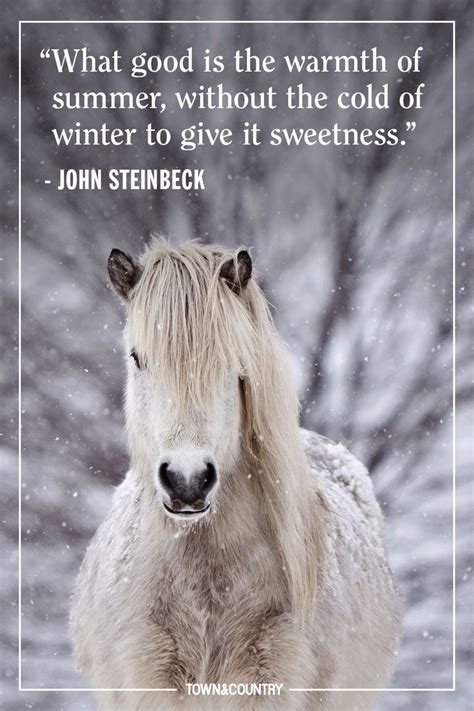 Let us know in the comments below! 22 Best Winter Quotes - Cute Sayings About Snow & The ...
