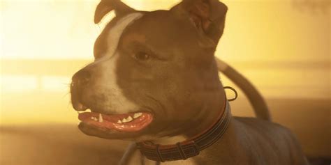 Unlocking the Dark Side: A Journey into the Depths of Human Nature