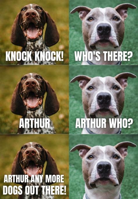 Top 10 Dog Knock-Knock Jokes That Are Really Funny