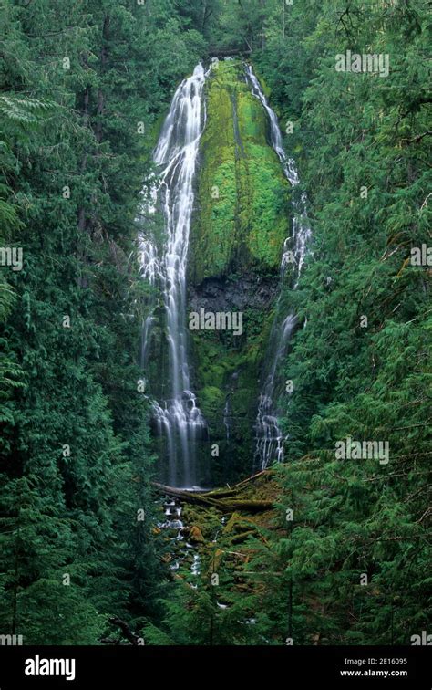 Lower Proxy Falls Three Sisters Wilderness Willamette National Forest