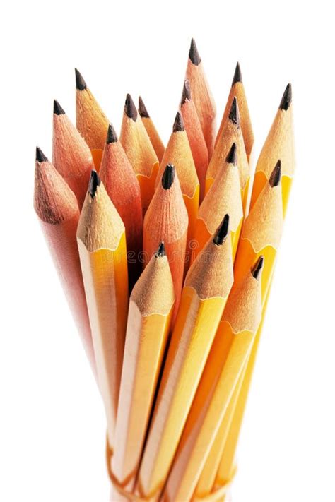 Bundle Of Pencils Stock Image Image Of School Writing 10054689