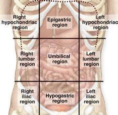 If you plan to enter a healthcare first, let's take a look at the four quadrants, which are created by an intersecting horizontal (transverse) plane, also called the transumbilical plane. Left Lower-Quadrant Pain: Guidelines from the American College Abdominal and pelvic computed ...