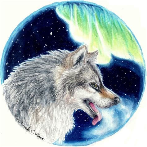 Lupus Borealis Aurora Wolf Colored Pencil Drawing Painting By