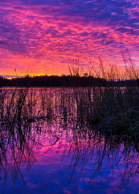5k Free Download Lake Reed Sunset Purple Dusk Hd Phone Wallpaper