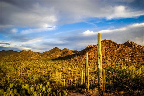 N desert monsoon pltucson 276 метров. Free Activities to Do in Tucson, Arizona