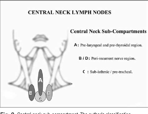 Figure 2 From Central Neck Dissection In Differentiated Thyroid Cancer