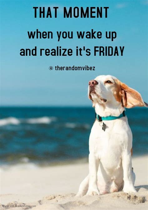Most Funny Friday Quotes Sayings And Images Friday Humor Its Friday