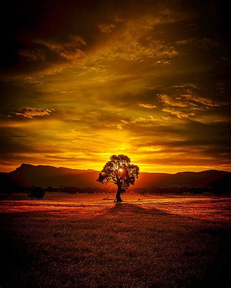 Golden Twilight By Michael Domaradzki On 500px