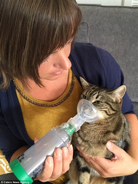 If your baby has creamy, white vernix on his skin, your midwife will take care to leave it on. Durham owner gives her cat an inhaler after she was ...