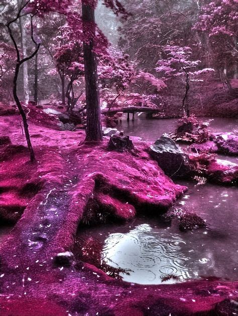 Moss Bridges Ireland Beautiful Places Pink Forest Beautiful Nature