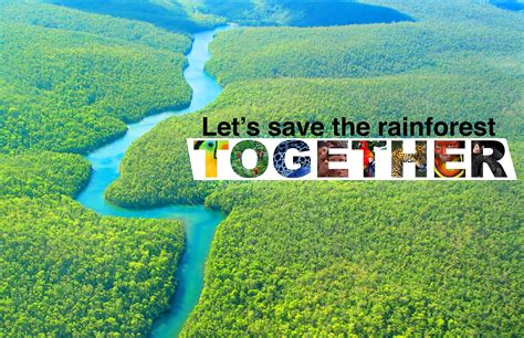 Lets Save The Rainforest Together Worlds Of Fun Rainforest Amazon