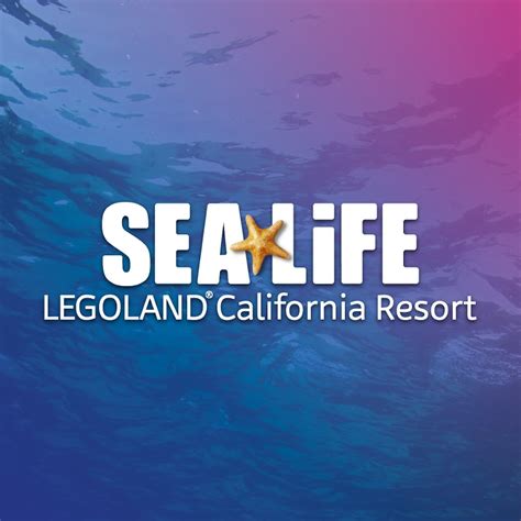 Sea Life Aquarium At Legoland California Resort Youtube