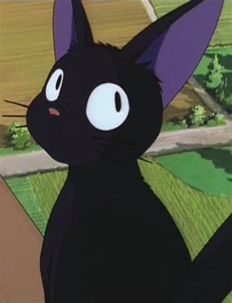 When he jumps on her shoulder at the very end of the movie, it's obvious phil. Jiji (Kiki's Delivery Service) | Feline | Pinterest