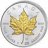 Pictures of Canadian Silver Maple Leaf Price