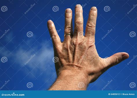 Mans Left Hand Stock Photo Image Of Reach Fingers Isolated 6483612