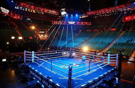 Pro Fight Night Official Boxing Ring Boxing Ring Rental Fight Shop
