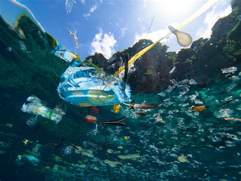 Plastic Pollution Scientists Identify Two More Potential ‘garbage