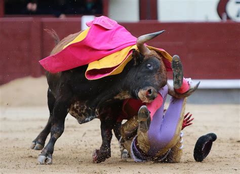 Bull Defeats 3 Matadors Mirror Online