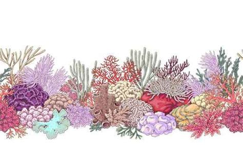 Coral Reef Line Horizontal Pattern Coral Reef Drawing Coral Reef Art