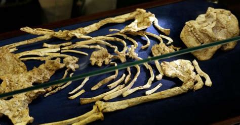 Scientists Find 15 Million Year Old Almost Full Human Skeleton In