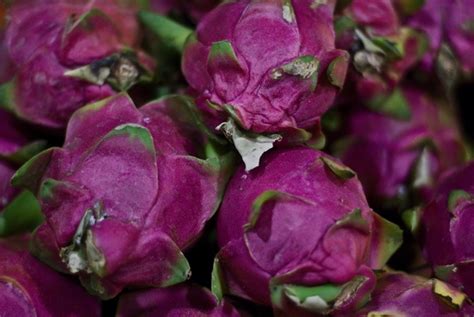 Maybe you would like to learn more about one of these? Fruits in Cambodia