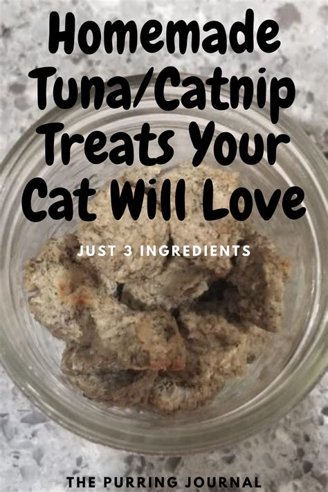 Homemade Tunacatnip Treats Your Cat Will Love Just 3 Ingredients In