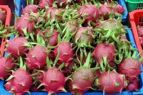 In these exotic things we can see something similar to our fruits and vegetables. Most unusual fruits - 10 Pics | Curious, Funny Photos ...