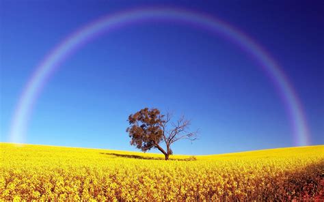 Natural Rainbow Wallpapers Top Free Natural Rainbow Backgrounds