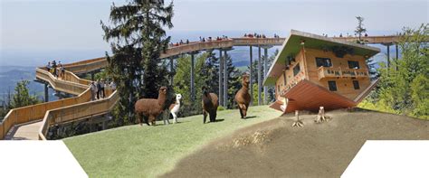 Our top picks lowest price first star rating and price top reviewed. Waldwipfelweg - Der Wipfel der Gefühle - waldwipfelweg ...