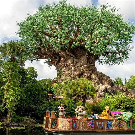 Disneys Animal Kingdom Theme Park Orlando 2023 What To Know Before