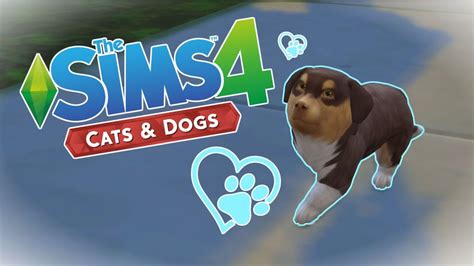 First Impressions Sims 4 Cats And Dogs 🐱🐶first Look Youtube