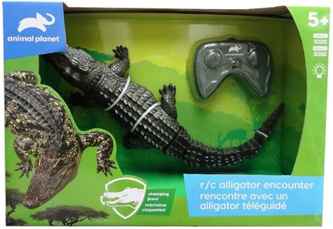 Animal Planet Rencontre Avec Un Alligator Téléguidé Notre
