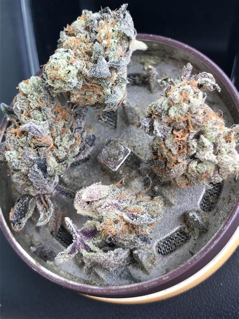 Time For The Mid Day Smoke Purple Stardawg 💜⭐️🐶 Weed