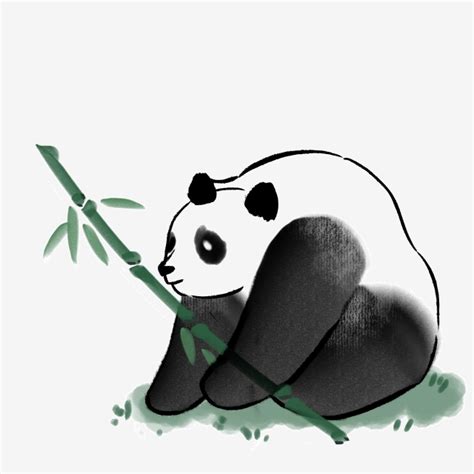 Orasnap Baby Panda Holding Bamboo Drawing