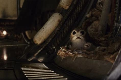 Every Porg In Star Wars The Last Jedi Ranked From Dorky To Adorable