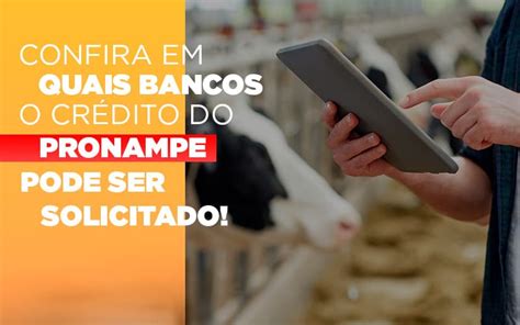 Para as empresas, a linha de crédito será de 30% da receita bruta anual. Confira em quais bancos o crédito do Pronampe já pode ser ...