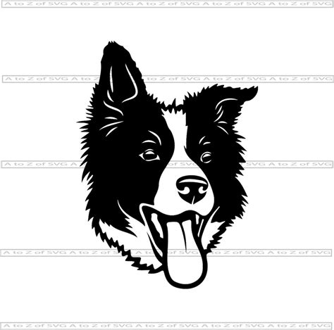 Border Collie Face Head Dog K 9 Canine 6 Detailed Silhouette Etsy