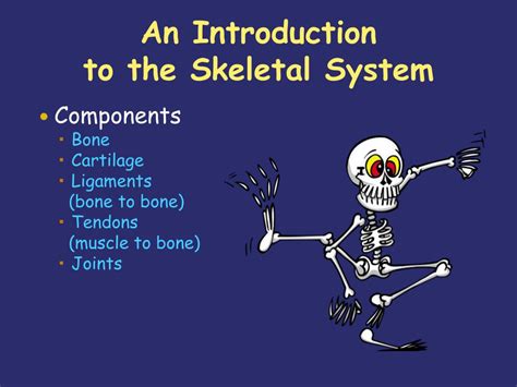 Ppt The Skeletal System Powerpoint Presentation Free Download Id