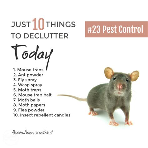 Looking for pest control and bed bug control services in chicago, orland park, orland hills, tinley park action pest control and wildlife management provide complete pest control service at very completive price. Declutter Pest Control Products