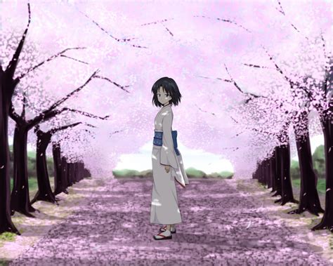 Kara No Kyoukai The Garden Of Sinners：ryougi Shiki Anime Cherry