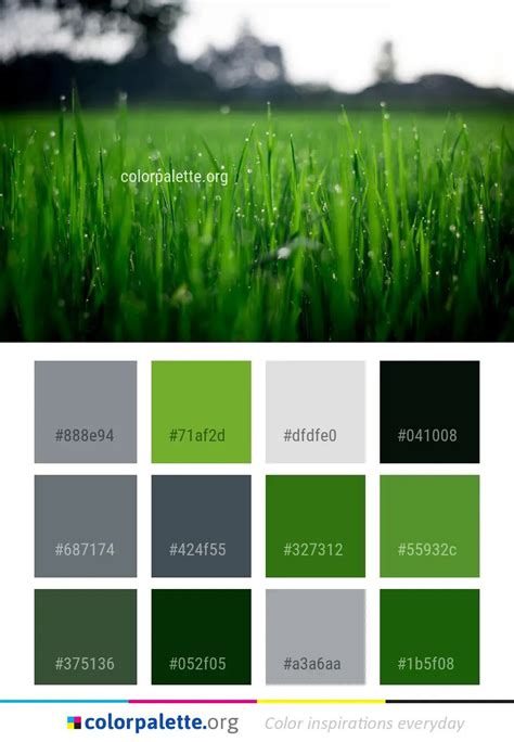 Green Grass Field Color Palette