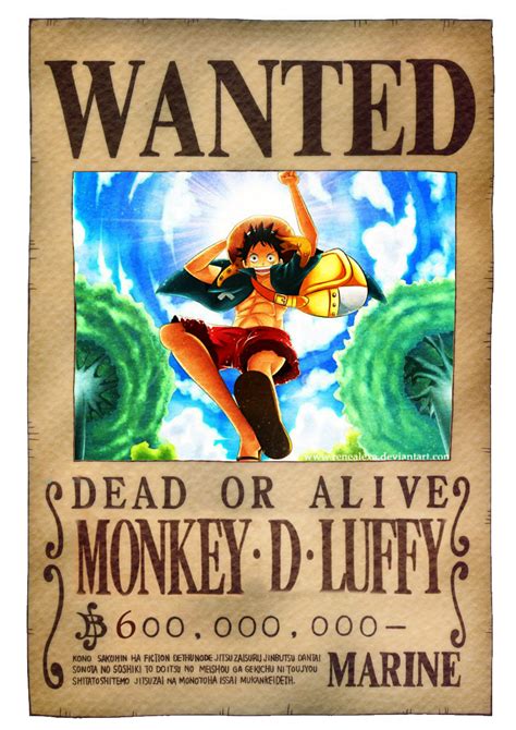 Monkey D Luffy Age 15 First Bounty Luffy Fiction Book Cover