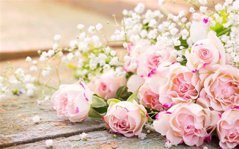 Download Wallpapers Romantic Bouquet Pink Roses Beautiful Bouquet