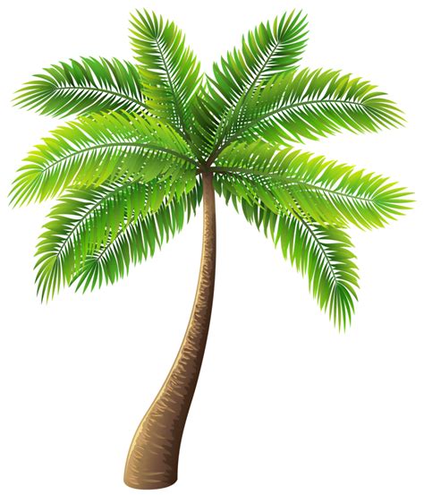 Palm Tree Clipart Transparent Png Download