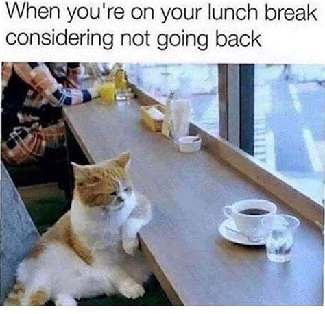 Happened To Me Funny Pictures Work Humor Work Memes