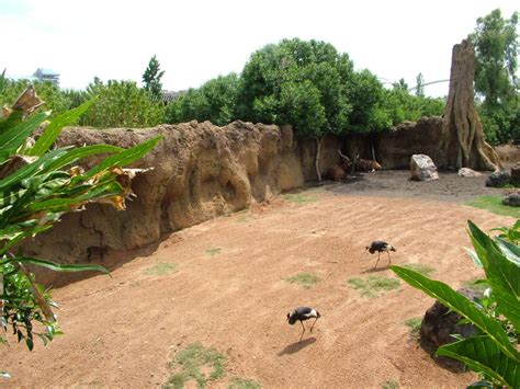 Antelope And Crane Exhibit At Bioparc Valencia 280511 Zoochat