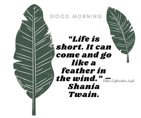 Feather Quote Shaniatwain Feather Quotes Shania Twain Good Night