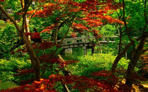 Kyoto Japan Imgur Beautiful World Beautiful Gardens Beautiful