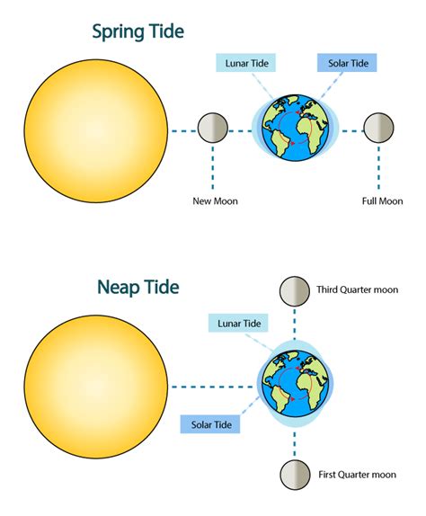 How Do The Phases Of The Moon Affect The Tides Science Project